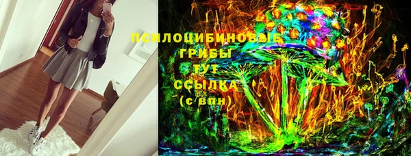 jwh Ельня