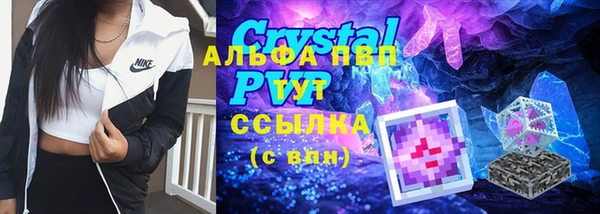 мяу мяу мука Елабуга