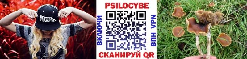 Галлюциногенные грибы GOLDEN TEACHER  Купить  Зерноград 
